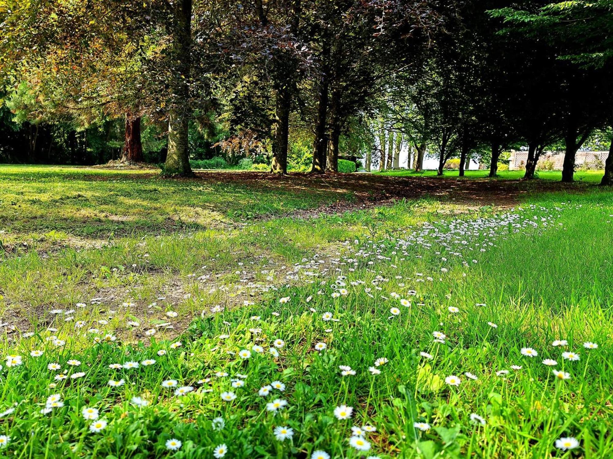Domaine De L'Isle Maniere Appartement Saint-Quentin-sur-le-Homme Buitenkant foto